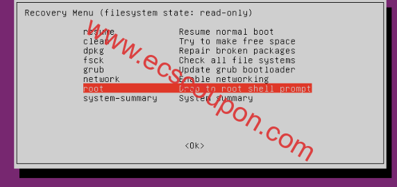 Ubuntu挂载文件系统