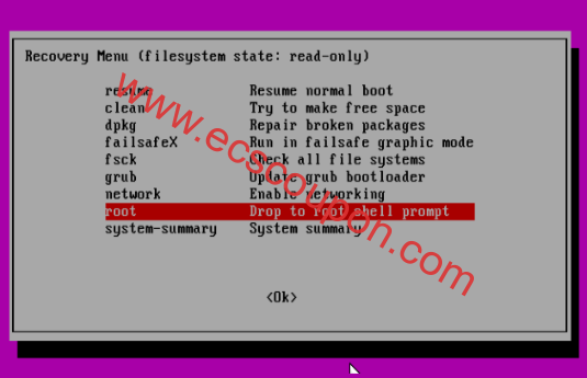 Ubuntu Recovery 菜单 – 进入root Shell Prompt
