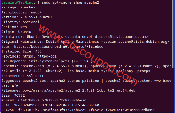 在Ubuntu中检查软件包信息