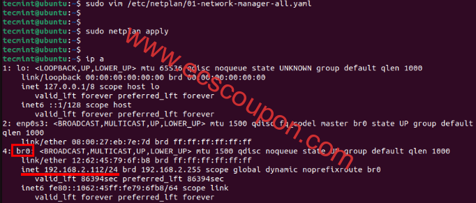 验证Ubuntu上的网络接口
