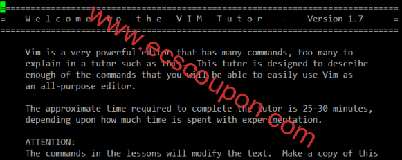 Vim编辑器帮助和选项