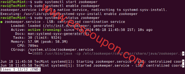 在Linux中检查Zookeeper