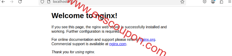 验证Nginx Web服务器